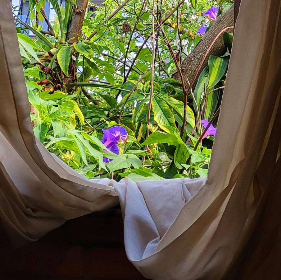 Villa Morena Benessere Florianopolis Luaran gambar